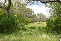 928 acre ranch  County image 31