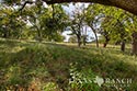 95 acre ranch Kendall County image 25