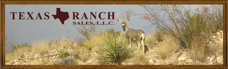 resource page banner