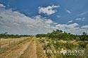 312 acre ranch Kinney County image 44
