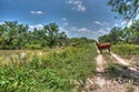 511 acre ranch Zavala County image 7