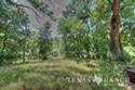 511 acre ranch Zavala County image 9