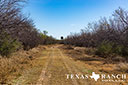 623 acre ranch Dimmit County image 48