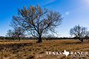 623 acre ranch Dimmit County image 61