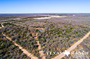 623 acre ranch Dimmit County image 97