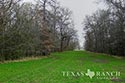 974 acre ranch Rains County image 47